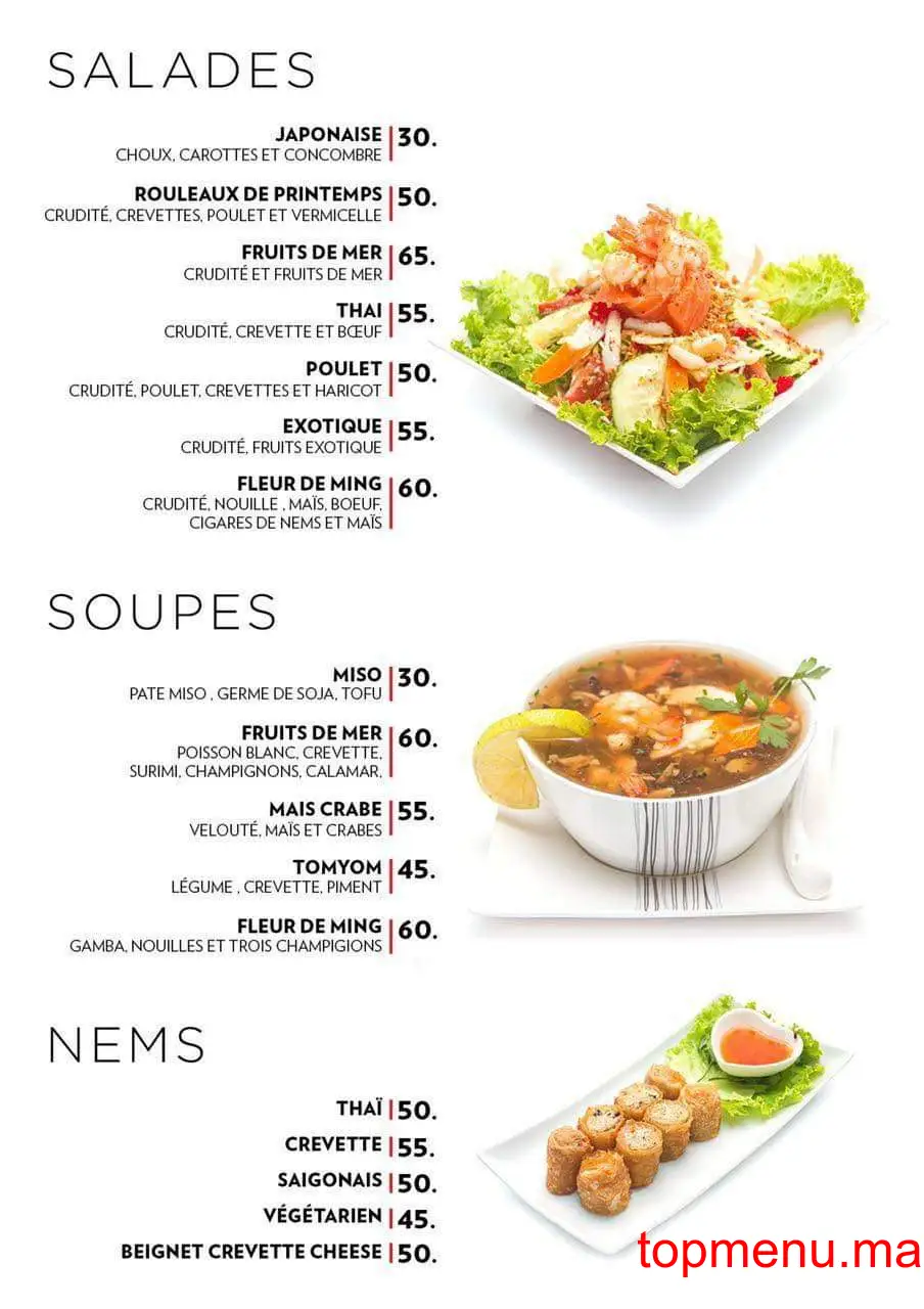 Sushi Fleur De Ming Ville menu page 17