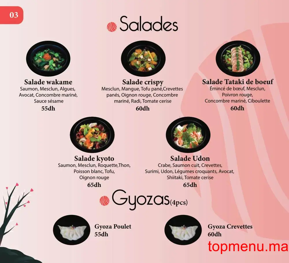 Kyoto Sushi menu page 7